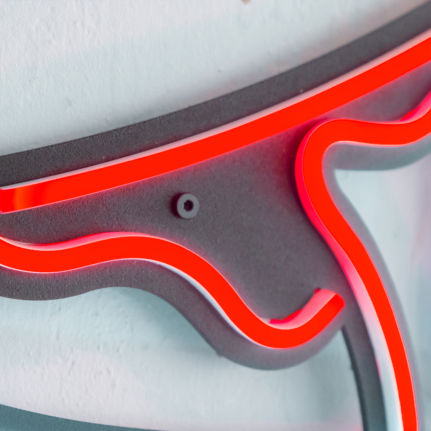 Flying Jordan Neon Wall Art
