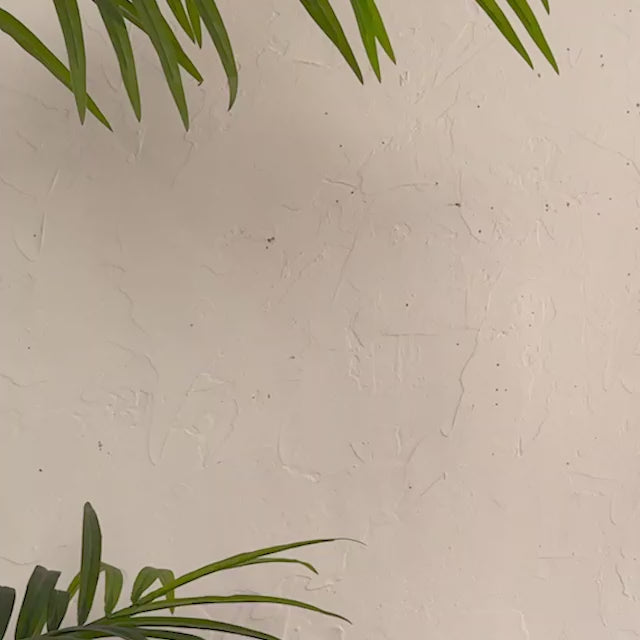 Aloha Neon Wall Art