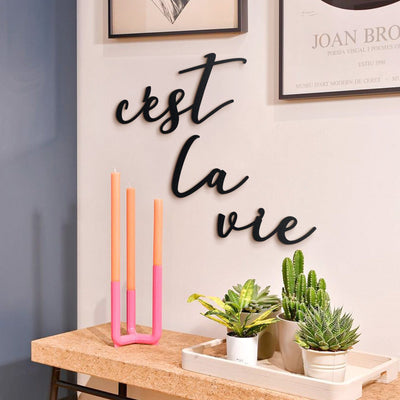 C'est La Vie Metal Wall Art Hoagard 